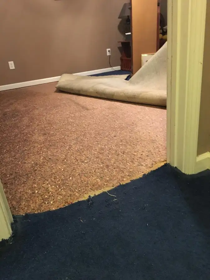 Carpet pad removal revealing water damage during Drying & Dehumidification in Wakefield